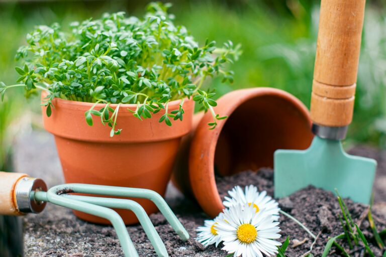 outils jardinage pour débutant
