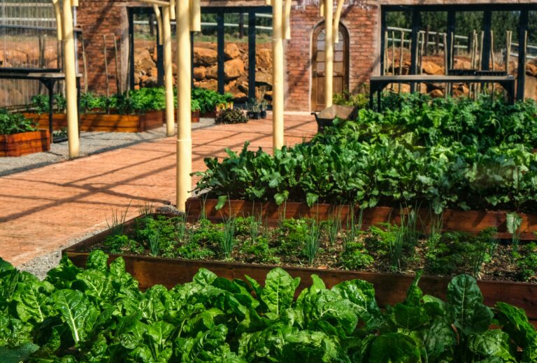 potager en carré